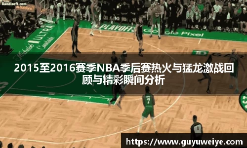 2015至2016赛季NBA季后赛热火与猛龙激战回顾与精彩瞬间分析